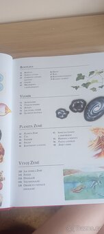 Školní encyklopedie - kol. autorů - 5