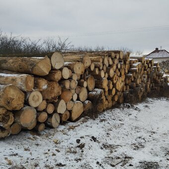 Palivové dříví - 5