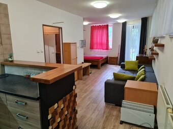 Pronájem 1+kk Olomučany u Blanska - 5