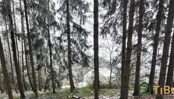 Prodej, Pozemky pro bydlení, 1.753 m2 - Gruna - Žipotín - 5