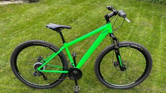 Capriolo 29” - 5