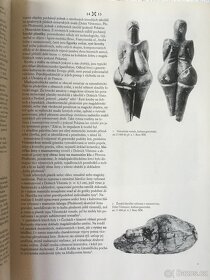 DĚJINY ČESKÉHO VÝTVARNÉHO UMĚNÍ - 5