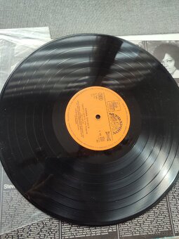 2 LP - Černá galerie - 5