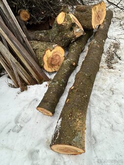 dřevo kmen višně - 5