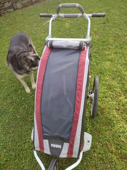 Sportovní kočárek Thule Chariot cx1 - 5