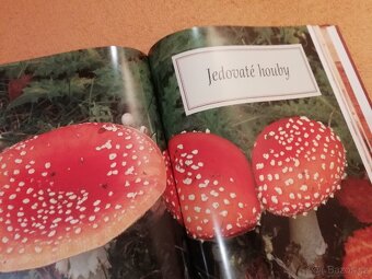 Velká kniha o houbách - 5