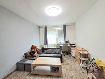 Pronájem bytu 2+1 ve Velkých Opatovicích - 5