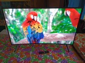 TV Samsung 122cm prohnutá Smart 4K - 5