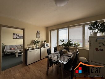 Pronájem částečně zařízeného bytu 1+1 s lodžií, 48m2, Moravs - 5