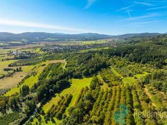 Prodej, Pozemek, Vinohrad, Lhenice, 8000 m2 - 5