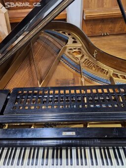 Klavírní křídlo - 5