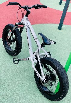 MTB Dirt Fatbike D-Kal 20” - 5