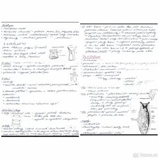 Maturitní otázky - biologie - 5