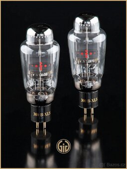 Prodám špičkové audiofilské lampové monobloky / pár - 5