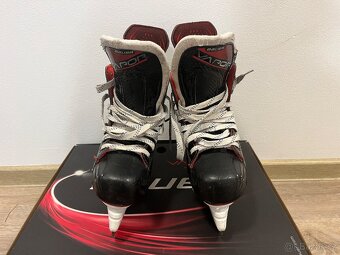 Brusle Bauer Vapor 39 - 5