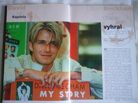 DAVID BECKHAM - Ed Greene, 2004 - 5