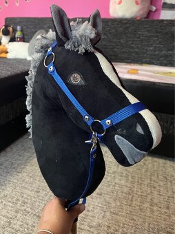 Hobby horse - 5
