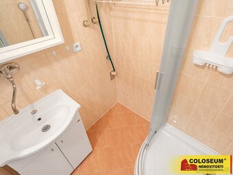 Velké Opatovice, DB 2+1, 51 m2, balkon, sklep – byt - 5