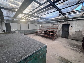 Pronájem skleníku 400 m2 - 5