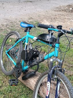 Motokolo 80cc 2024 - 5