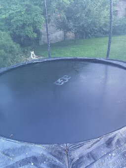 Trampolína - 5