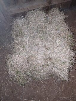 Malé balíky sena PRODÁNO - 5