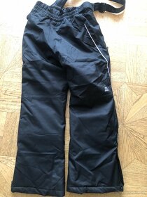 Alpine Pro - 5