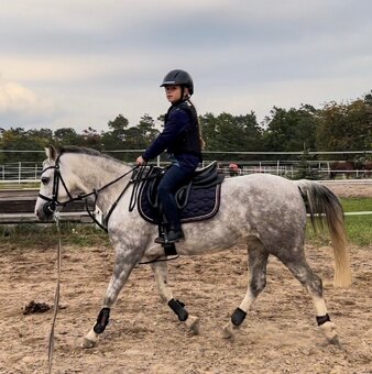 Prodám klisnu Welsh pony - 5