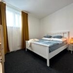 Pronájem bytu 2+kk 54 m² + terasa Březnice - 5