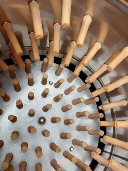 ŠKUBAČKA DRUBEŽE ŠKUBAČKY kuřata kačeny husy - 5