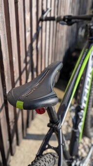 Author Spirit 29 2019 - 5