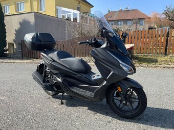 Honda Forza 125 ccm - 2025 - 5