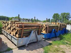 Palivové drevo převážně borovice - 5