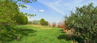 Velká oplocená ZAHRADA 7.141m2 - 5