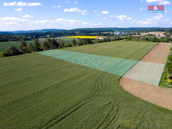Prodej pozemku, 2432 m², Kostelec nad Černými lesy - 5