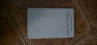 Prodám 192ks knížek (různé žánry) - 5