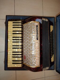 akordeon Cantulia - 5