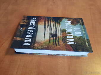 Desátý kruh, Prostá pravda - 5