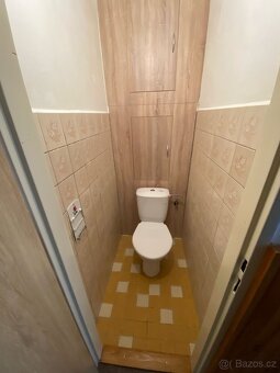 Pronájem bytu 2+ KK Ždírec nad Doubravou - 5