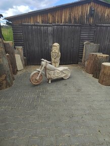 motorka motorovou pilou - 5