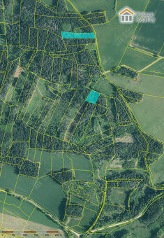 Prodej lesa 40.909 m2, obec Skály, okr. Strakonice - 5