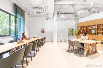 Pronájem kanceláře, 50 m2 - Praha - Karlín, ev.č. CZ1ws5229 - 5