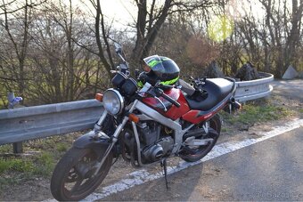 Suzuki Gs500E - 5