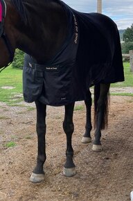 Back on track Royal Mash Deluxe 135cm - 5