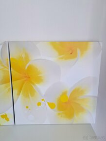 Trojdílný obraz - 5