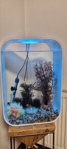 Akvárium Biorb Life 45 MCR - bílé - 5