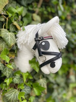 Hobby horse - 5