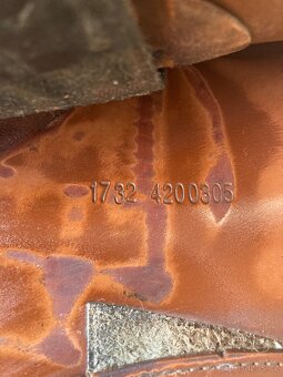 Prestige Eventing - 5