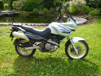 Suzuki XF 650 Freewind - 5