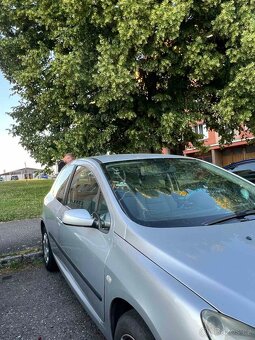 Peugeot 307 - 5